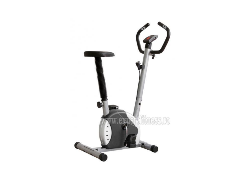 Bicicleta mecanica FitTronic 100B Black