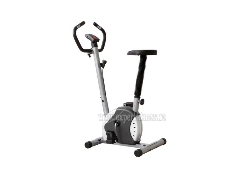 Bicicleta mecanica FitTronic 100B Black