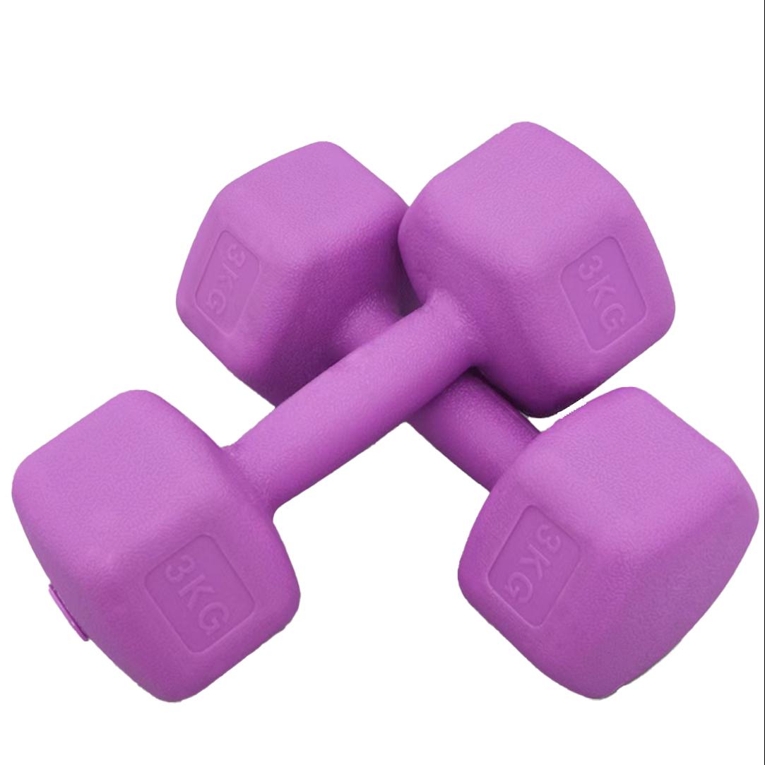 Set 2 gantere FitTronic 2x3 kg HGR2x3